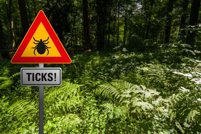 Common Lyme disease symptoms, causes and natural treatment options