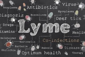 Dr Minkoff is Interviewed about causes, symptoms and treatment of Lyme Disease