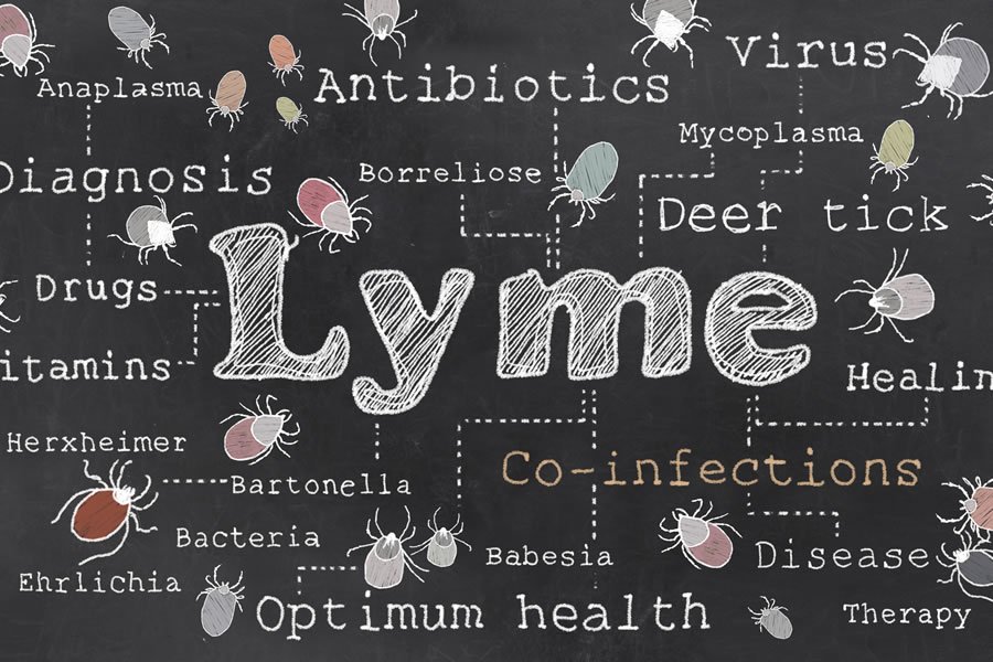 Dr Minkoff is Interviewed about causes, symptoms and treatment of Lyme Disease