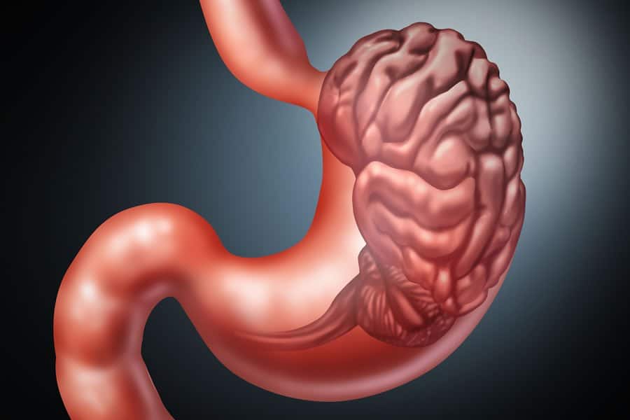 A close-up of the human stomach.Stomach Pain, Causes & Treatment