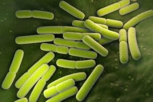E-coli. We offer Ozone therapy for e-coli