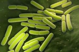 E-coli. We offer ozone therapy for e-coli