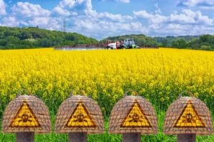 Pesticides effects and health dangers associayed with pesticide use