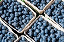 Berries in several boxes, indicating natural, healthy food recommended by lifeworks doctors