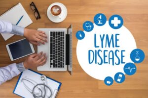 Lyme disease infographic