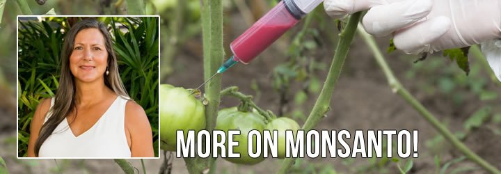 More information on Monsanto