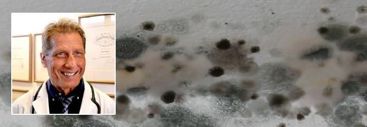 Toxic mold which could be dangerous for human health