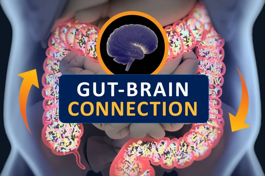 Closeup image showing the gut-brain connection. We offer natural treatment for leaky gut