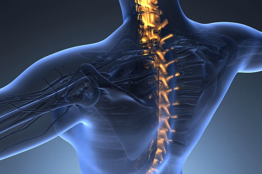 A person's spine suffering from Osteoporosis and Chronic Fatigue: we uncover the causes, symptoms and natural treatment