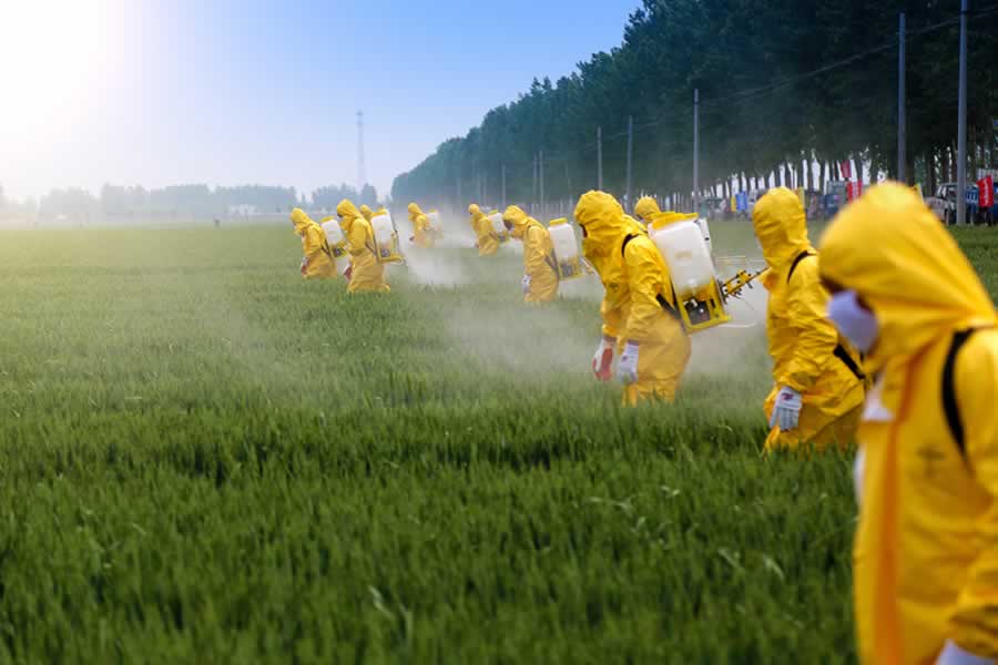 Workers using pesticides. We offer body detox therapies.