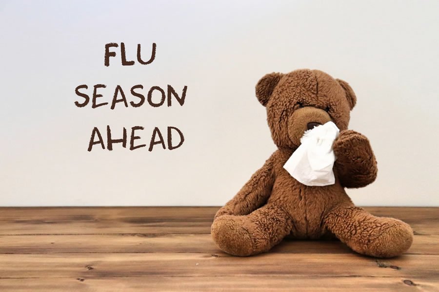 Boost Your Immune System before Cold & Flu Season