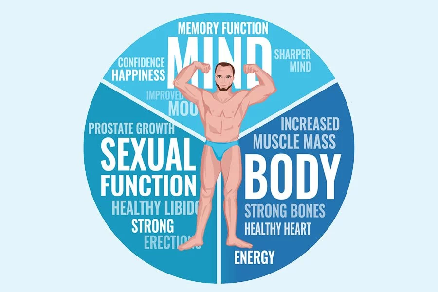 Infographic of natural hormone replacement for men
