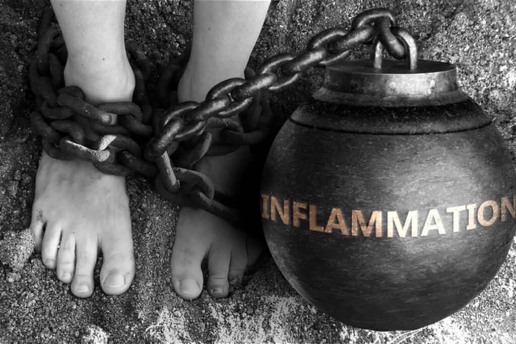Inflammation and disease video