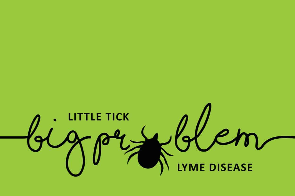 learn the process for accurately detecting lyme