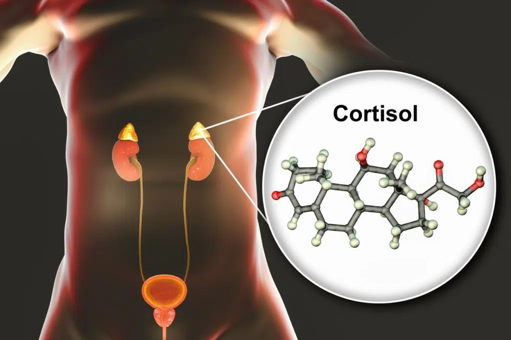 hydrocortisone as a steroid hormone (corticosteroid or cortisol) produced by the adrenal gland.
