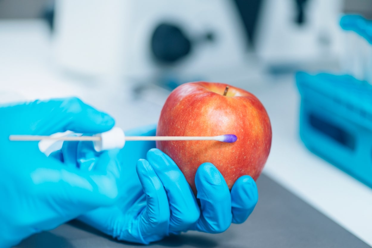 an apple being swabbed for pesticides