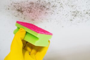 Mold exposure in your home